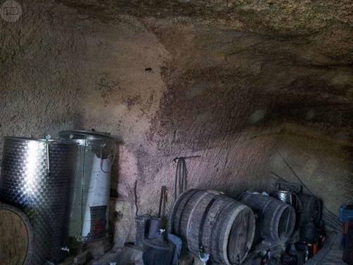 imagen 2 de Venta de terreno edificable con viñas y cueva en Güímar (Tenerife)
