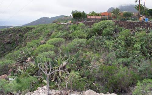 imagen 1 de Venta de finca rústica en San Cristóbal de la Laguna