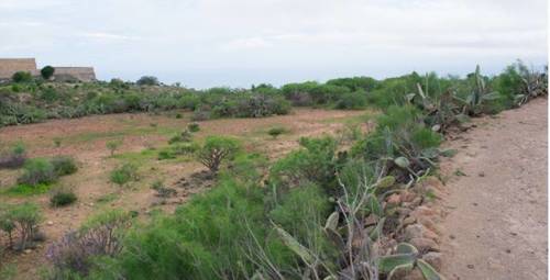 imagen 3 de Venta de finca rústica en San Cristóbal de la Laguna