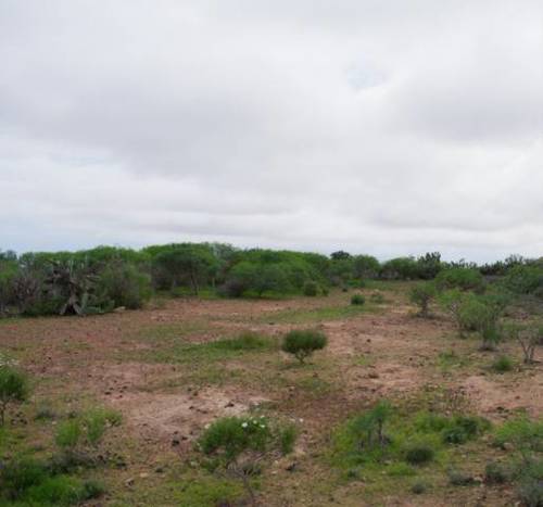 imagen 4 de Venta de finca rústica en San Cristóbal de la Laguna