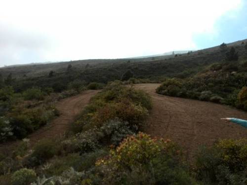 imagen 2 de Venta de finca rústica en Arico con vistas al mar y la montaña (Tenerife)