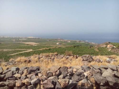 imagen 2 de Venta de terreno rústico en la costa de Alcalá (Tenerife)