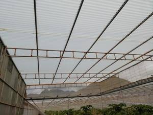 imagen 1 de Venta de invernadero en Tejina (Tenerife)