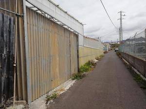 imagen 4 de Venta de invernadero en Tejina (Tenerife)