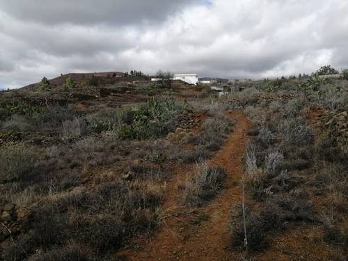 imagen 1 de Venta de finca bien ubicada en Vilaflor (Tenerife)