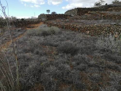 imagen 1 de Venta de finca bien ubicada en Vilaflor (Tenerife)