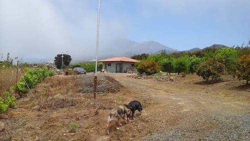 imagen 1 de Venta de finca con vivienda en El Tanque (Tenerife)