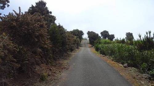 imagen 2 de Venta de finca con vivienda en El Tanque (Tenerife)