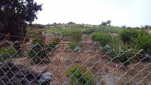 imagen 3 de Venta de finca con vivienda en El Tanque (Tenerife)
