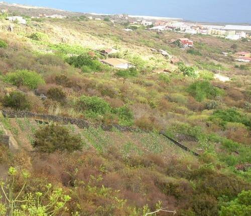 imagen 1 de Venta de finca con muchas posibilidades en Frontera (Tenerife)