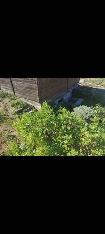 imagen 3 de Venta de parcela con casa de madera en Güímar (Tenerife)