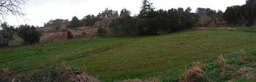 imagen 1 de Venta de finca Rústica en El Sauzal