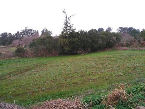 imagen 1 de Venta de finca Rústica en El Sauzal