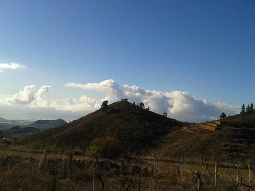 imagen 1 de Venta de extensa finca en San Miguel de abona (Tenerife)