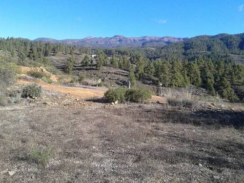 imagen 4 de Venta de extensa finca en San Miguel de abona (Tenerife)