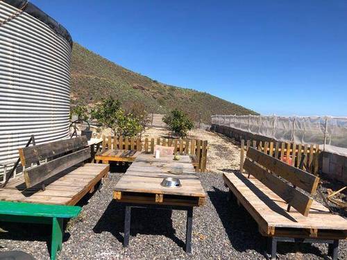 imagen 4 de Venta de finca en Granadilla de Abona (Tenerife)
