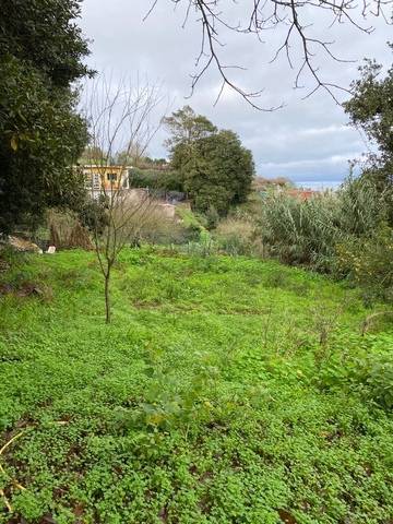 imagen 4 de Venta de finca con luz y agua en Agua García (Tenerife)