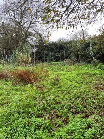 imagen 5 de Venta de finca con luz y agua en Agua García (Tenerife)