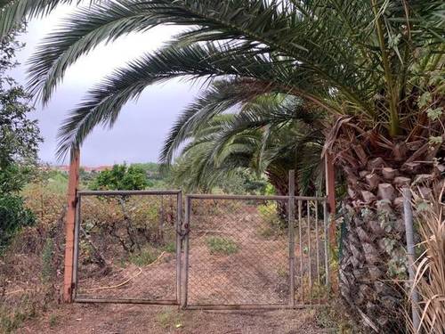 imagen 2 de Venta de viñedo con bodega en Tacoronte (Tenerife)