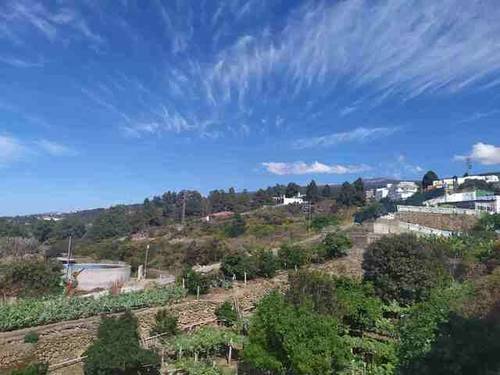 imagen 2 de Venta de terreno con frutales y antiguo lagar en Icod de los Vinos (Tenerife)