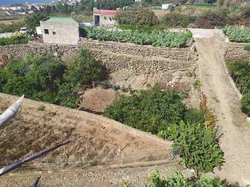 imagen 3 de Venta de terreno con frutales y antiguo lagar en Icod de los Vinos (Tenerife)