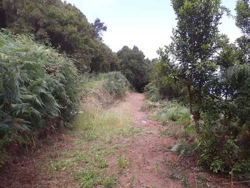 imagen 7 de Venta de terreno con cabaña y vistas al mar San Juan de la Rambla (Tenerife)