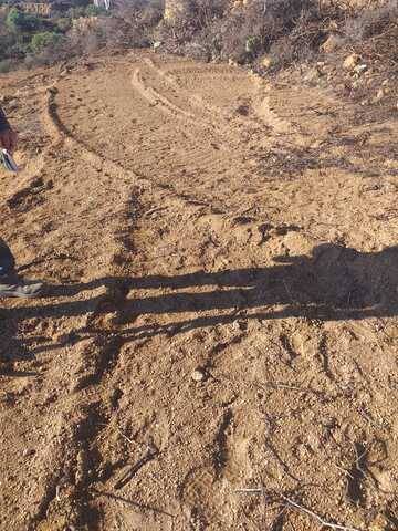 imagen 1 de Venta de finca para cultivo en Fasnia (Tenerife)