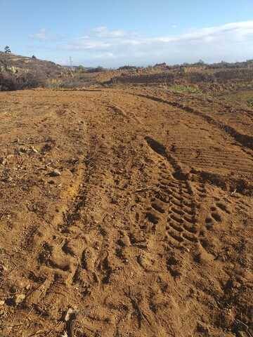 imagen 2 de Venta de finca para cultivo en Fasnia (Tenerife)