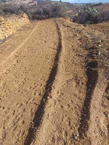 imagen 3 de Venta de finca para cultivo en Fasnia (Tenerife)