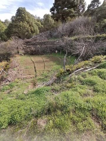 imagen 1 de Venta de terreno rústico cn cuarto de aperos en Icod de los Vinos (Tenerife)