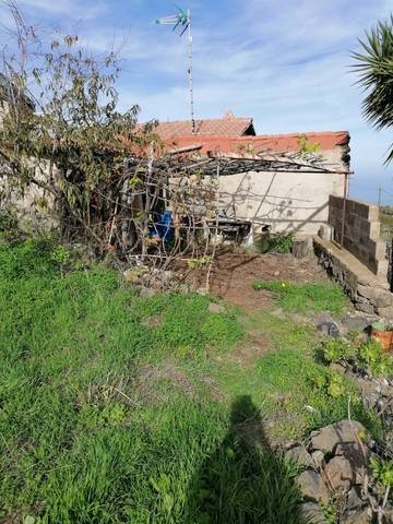 imagen 2 de Venta de terreno rústico cn cuarto de aperos en Icod de los Vinos (Tenerife)