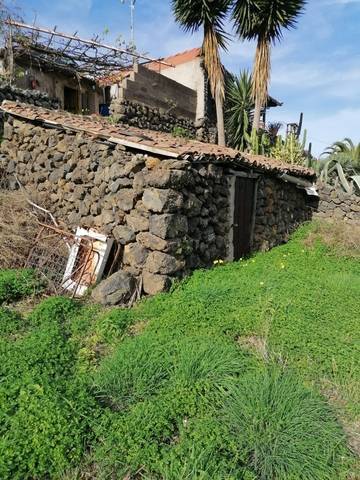 imagen 3 de Venta de terreno rústico cn cuarto de aperos en Icod de los Vinos (Tenerife)