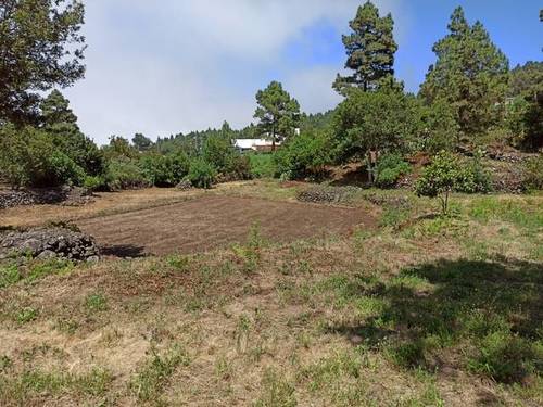imagen 2 de Venta de terreno rústico en Garachico (Tenerife)