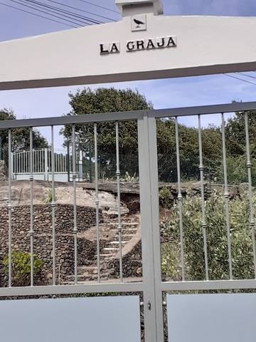 imagen 1 de Venta de varios terrenos vallados y con frutales en Fuente del Tanque (Tenerife)