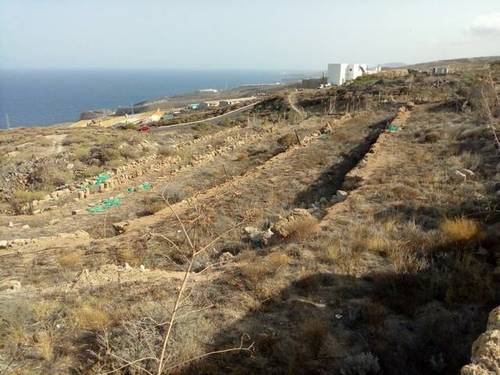 imagen 1 de Venta de finca rústica en Güímar