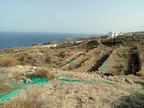 imagen 2 de Venta de finca rústica en Güímar