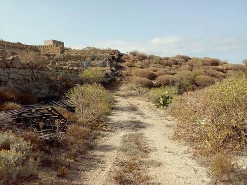 imagen 1 de Venta de finca rústica en Güímar