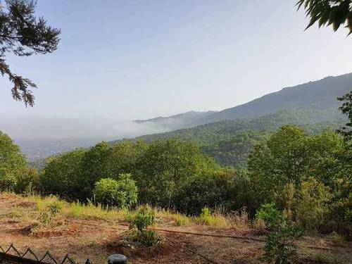 imagen 1 de Venta de terreno rústico con almacén en Botazo (Tenerife)