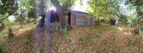 imagen 1 de Venta de terreno rústico con almacén en Botazo (Tenerife)