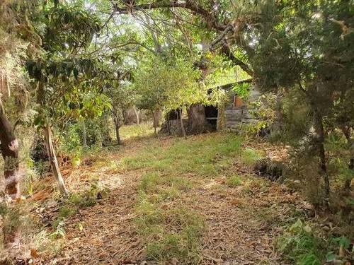 imagen 4 de Venta de terreno rústico con almacén en Botazo (Tenerife)