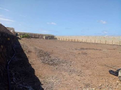 imagen 3 de Venta de invernadero en San Cristóbal de la Laguna