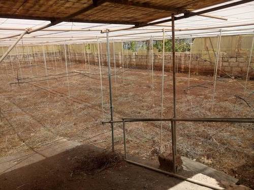 imagen 1 de Venta de invernadero en San Cristóbal de la Laguna