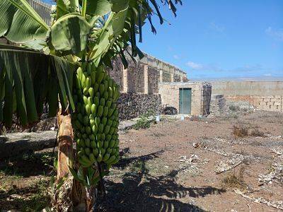imagen 4 de Venta de invernadero en San Cristóbal de la Laguna