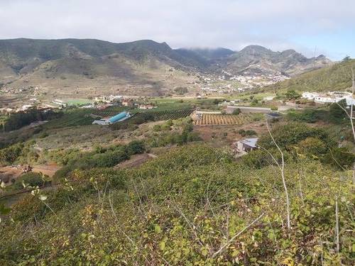 imagen 1 de Venta de finca con luz y agua en Tegueste (Tenerife)