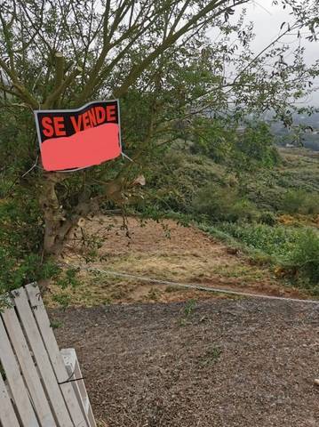imagen 1 de Venta de terreno en Los Realejos (Tenerife)