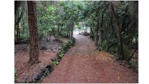 imagen 3 de Venta de terreno con cuarto de aperos, luz y y agua en Garachico (Tenerife)