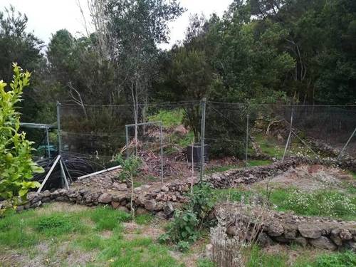 imagen 2 de Venta de terreno con cuarto de aperos, luz y y agua en Garachico (Tenerife)
