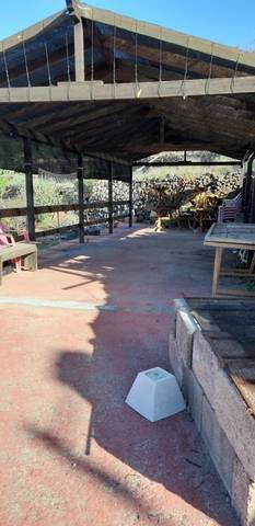 imagen 3 de Venta de casa rural con finca en Granadilla de Abona (Tenerife)