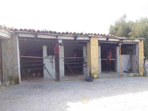 imagen 1 de Finca de recreo con piscina en Pulianas
