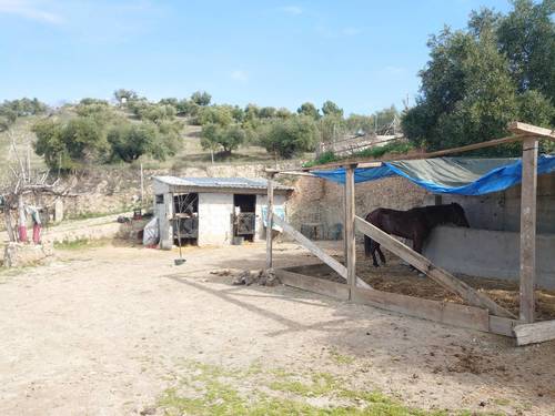 imagen 6 de Finca de recreo con piscina en Pulianas